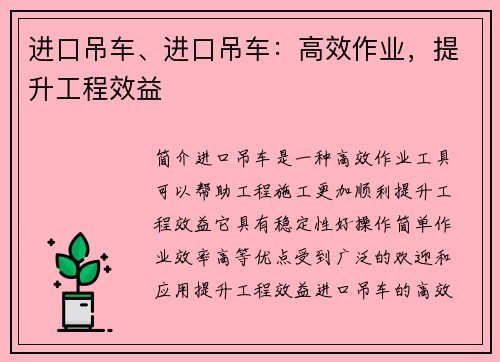 进口吊车、进口吊车：高效作业，提升工程效益
